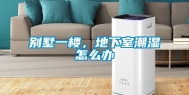 别墅一楼，地下室潮湿怎么办