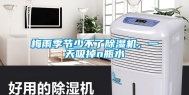 梅雨季节少不了除湿机，一天吸掉n瓶水