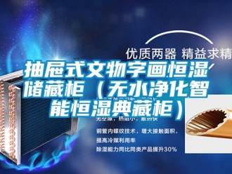 知识百科抽屉式文物字画恒湿储藏柜（无水净化智能恒湿典藏柜）