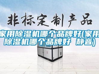 企业新闻家用除湿机哪个品牌好(家用除湿机哪个品牌好 静音)