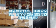 夏天感觉好热，还没安空调。买个小型除湿器可以缓解热感吗？