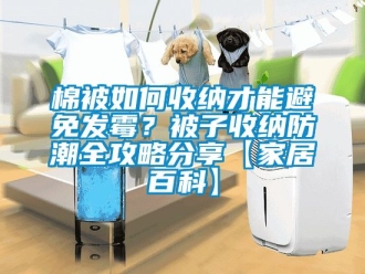 常见问题棉被如何收纳才能避免发霉？被子收纳防潮全攻略分享【家居百科】