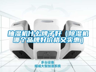 企业新闻抽湿机什么牌子好（除湿机哪个品牌好价格又实惠）
