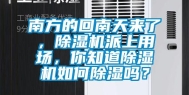 南方的回南天来了，除湿机派上用场，你知道除湿机如何除湿吗？