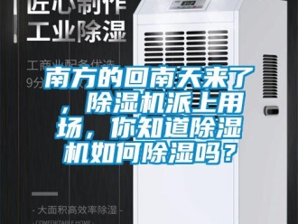 常见问题南方的回南天来了，除湿机派上用场，你知道除湿机如何除湿吗？