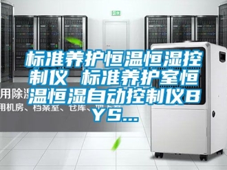 常见问题标准养护恒温恒湿控制仪 标准养护室恒温恒湿自动控制仪BYS...