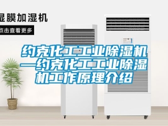 常见问题约克化工工业除湿机—约克化工工业除湿机工作原理介绍