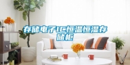 存储电子IC恒温恒湿存储柜