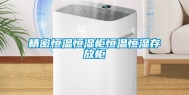 精密恒温恒湿柜恒温恒湿存放柜