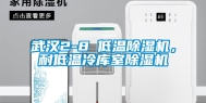 武汉2-8℃低温除湿机，耐低温冷库室除湿机