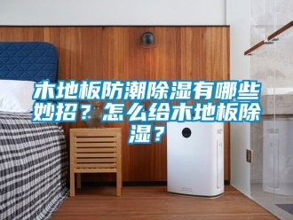 常见问题木地板防潮除湿有哪些妙招？怎么给木地板除湿？