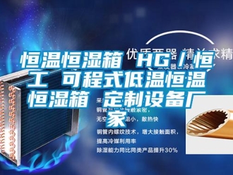 知识百科恒温恒湿箱 HG／恒工 可程式低温恒温恒湿箱 定制设备厂家