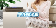 湖北除湿机