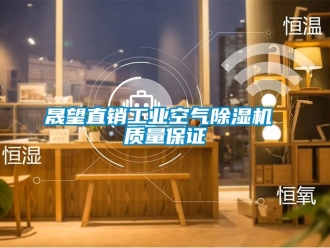 常见问题晟望直销工业空气除湿机 质量保证