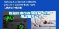 智能恒温恒湿培养箱-恒温恒湿箱介绍