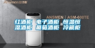 红酒柜 电子酒柜 恒温恒湿酒柜 葡萄酒柜 冷藏柜
