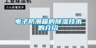 电子防潮箱的除湿技术的介绍