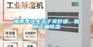 梅雨季让生活干爽舒适，如何正确除湿