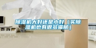 除湿机大好还是小好（买除湿机也有很多猫腻）