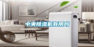中央除湿机有用吗