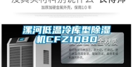 漯河低温冷库型除湿机CFZ10BD
