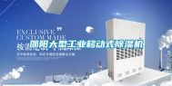 邵阳大型工业移动式除湿机