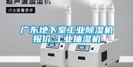 广东地下室工业除湿机报价,工业抽湿机