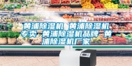 黄浦除湿机 黄浦除湿机专卖 黄浦除湿机品牌 黄浦除湿机厂家