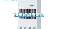 恒温恒湿环境箱